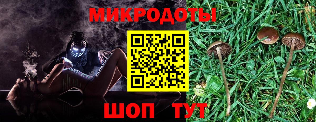 Галлюциногенные грибы прущие грибы  Галлюциногенные грибы мухоморы  Вход с VPN  Красный Сулин 